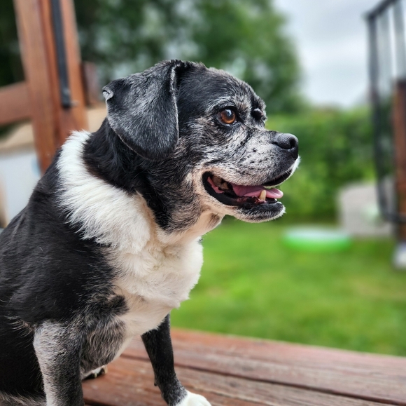 Meet your Posher, Jenn Aka Quinny - Picture 10 of 13